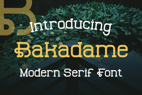Bakadame Font: Unique Display Typography for Web Design