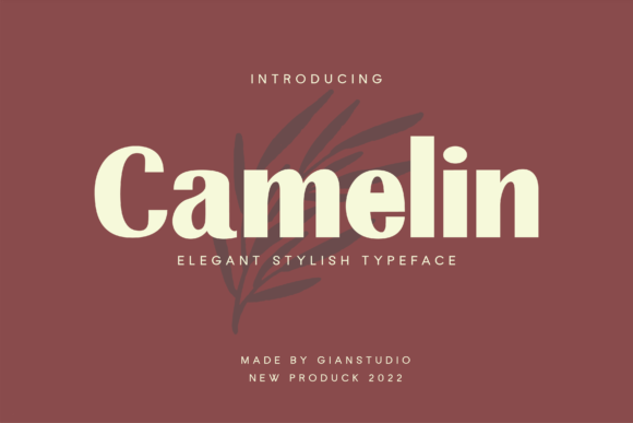 Camelin Font Review: A Casual Display Typeface for Branding