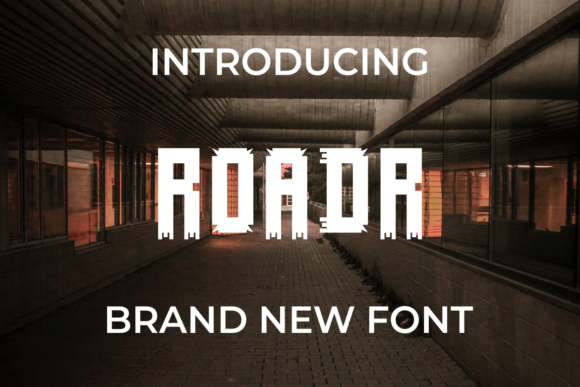 Roadr Font Review: Testing a Dynamic Display Typeface